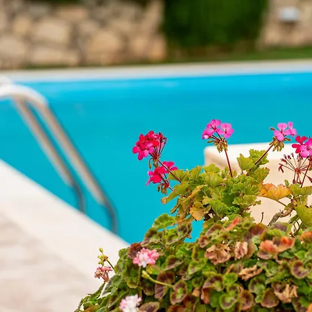 Amalia's House * Фискардон